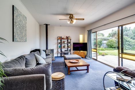 Photo of property in 16 Shirley Place, Bay View, Napier, 4104