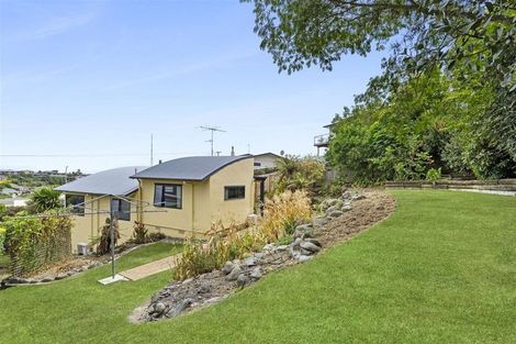 Photo of property in 313 Hill Street, Richmond, 7020