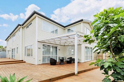Photo of property in 8 Harrington Road, Henderson, Auckland, 0610
