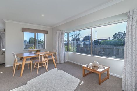 Photo of property in 45 Chester Street, Levin, 5510