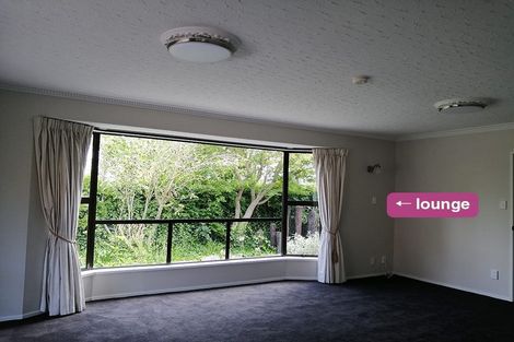 Photo of property in 1/124 Hamilton Avenue, Ilam, Christchurch, 8041