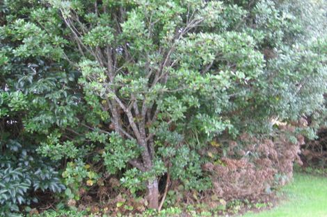 Photo of property in 2 Kowhai Avenue, Point Wells, Warkworth, 0986