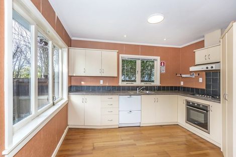 Photo of property in 15 Fergusson Avenue, Mairehau, Christchurch, 8013