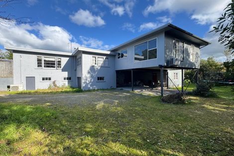 Photo of property in 58 Jickell Street, Hokowhitu, Palmerston North, 4410