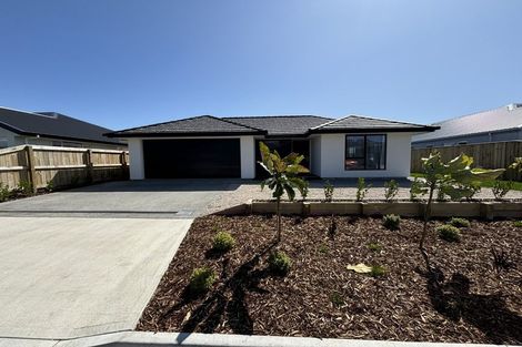 Photo of property in 22 Shepperton Street, Appleby, Richmond, 7020