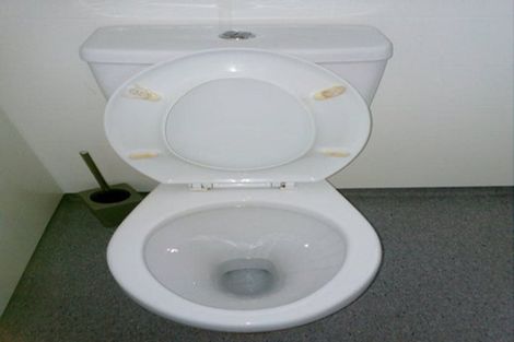 Photo of property in 3 Rimu Street, Matamata, 3400