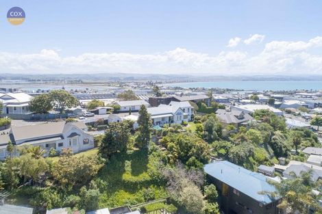 Photo of property in 23 Denholm Road, Hospital Hill, Napier, 4110