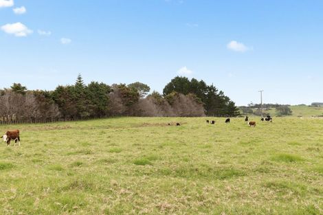 Photo of property in 3031 Awhitu Road, Awhitu, Waiuku, 2684