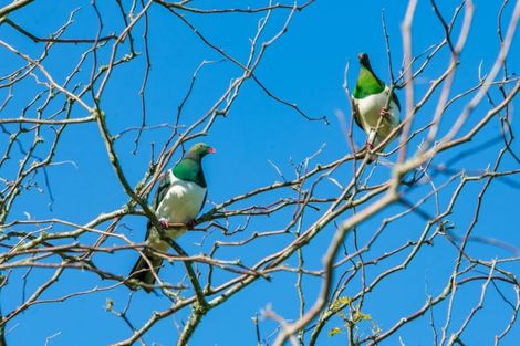 Photo of property in 307 Campbell Road, Pukehina, Te Puke, 3186