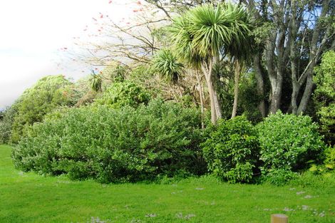 Photo of property in 121 Fourth Avenue, Tauranga, 3110