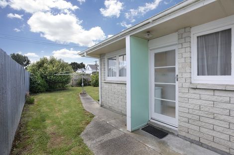 Photo of property in 23a Hobson Street, Feilding, 4702