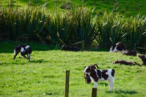 Photo of property in 139b Golden Valley Road, Waihi, 3681