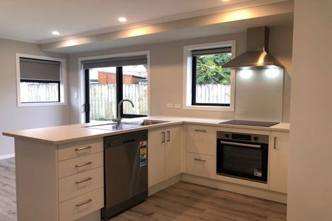 Photo of property in 8 Mcpherson Place, Fairfield, Hamilton, 3214