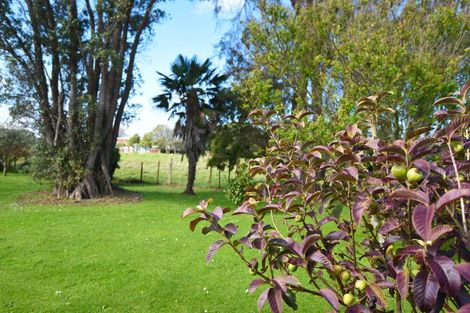 Photo of property in 28 Suther Street, Waverley, 4510
