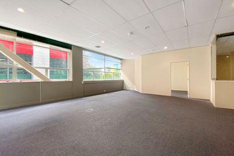 Photo of property in 115 Vivian Street, Te Aro, Wellington, 6011