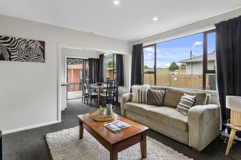 Photo of property in 141 Marshland Road, Shirley, Christchurch, 8061