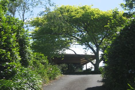 Photo of property in 504 Youngson Road, Whakamarama, Tauranga, 3179