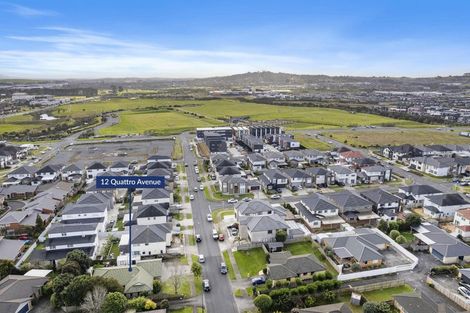 Photo of property in 12 Quattro Avenue, Flat Bush, Auckland, 2019