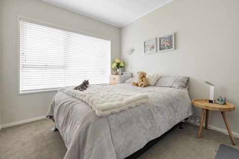 Photo of property in 153 Te Hono Street, Maungatapu, Tauranga, 3112