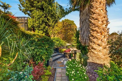 Photo of property in 8 Selwyn Road, Hospital Hill, Napier, 4110