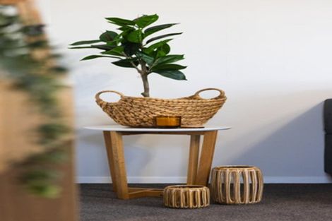 Photo of property in 1/76 Ruskin Street, Addington, Christchurch, 8024