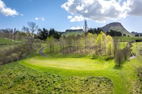 Photo of property in 155 Matangi Road, Tuki Tuki, Havelock North, 4294