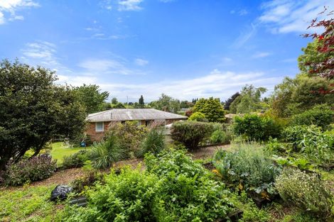 Photo of property in 18 Riverview Street, Putaruru, 3411