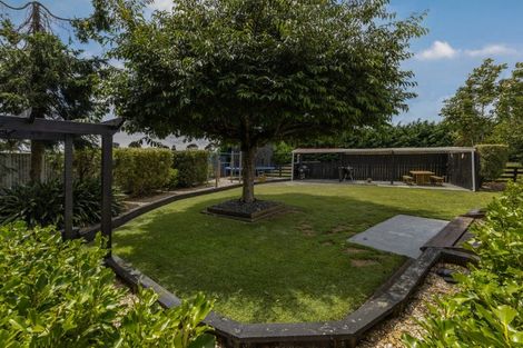 Photo of property in 461 Tararua Road, Levin, 5571