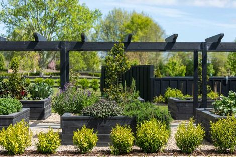 Photo of property in 18 Orchard Place, Matamata, 3472