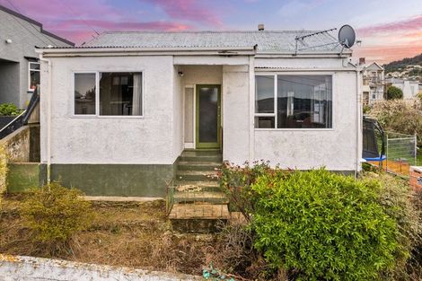 Photo of property in 20 Peter Street, Caversham, Dunedin, 9012