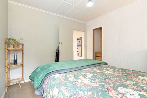 Photo of property in 51 Laward Road, Shannon, Palmerston North, 4474