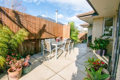 Photo of property in 10 Windsor Street, Terrace End, Palmerston North, 4410