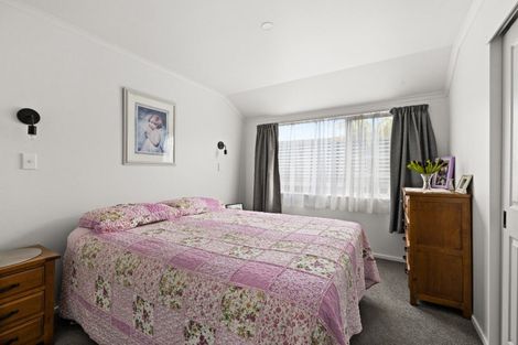 Photo of property in 509 Burnett Street, Mahora, Hastings, 4120