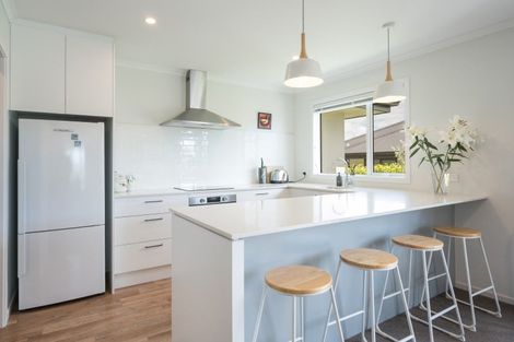 Photo of property in 6 Langdale Drive, Richmond, 7020