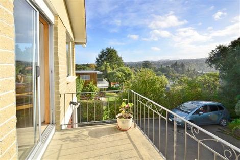 Photo of property in 17a Signal Hill Road, Opoho, Dunedin, 9010