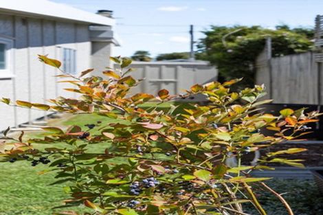 Photo of property in 13 Arnold Street, Leamington, Cambridge, 3432