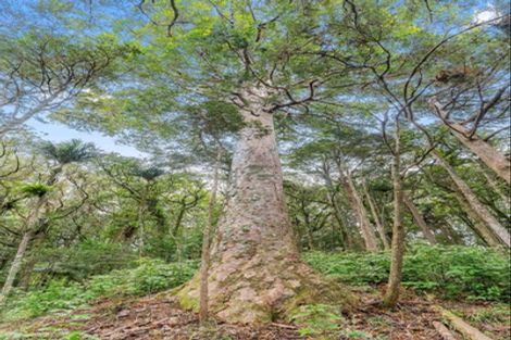 Photo of property in 395 Tangihua Road, Maungakaramea, Whangarei, 0178