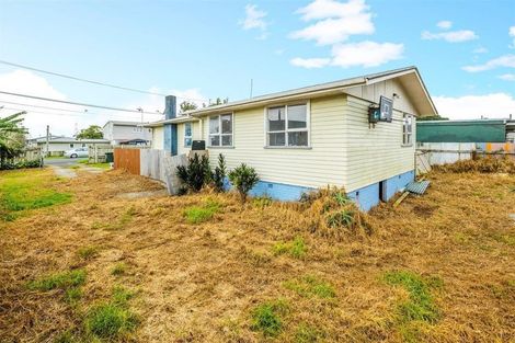 Photo of property in 91 Ferguson Road, Otara, Auckland, 2023