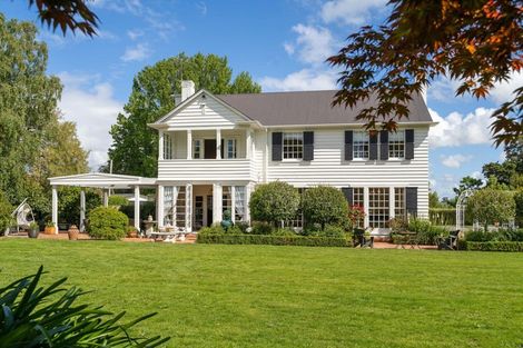 Photo of property in 43 Jordan Terrace, Lansdowne, Masterton, 5810