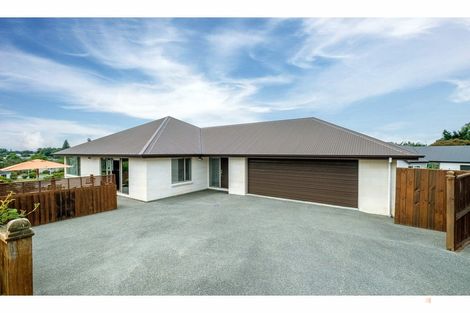 Photo of property in 21 Hewlings Street, Geraldine, 7930