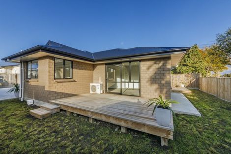 Photo of property in 29a Chelwood Street, Takaro, Palmerston North, 4412
