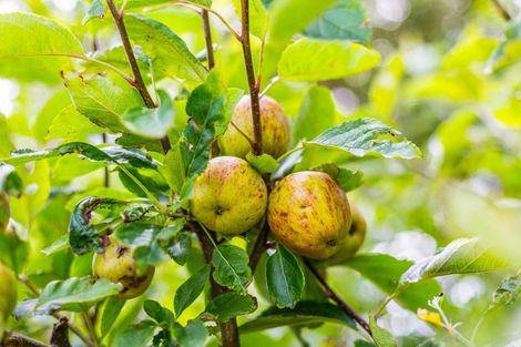 Photo of property in 162 Motuhara Road, Plimmerton, Porirua, 5026