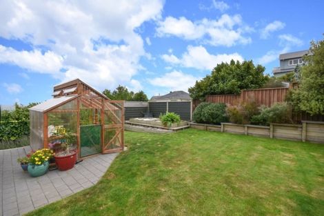 Photo of property in 9 Oakland Street, Andersons Bay, Dunedin, 9013