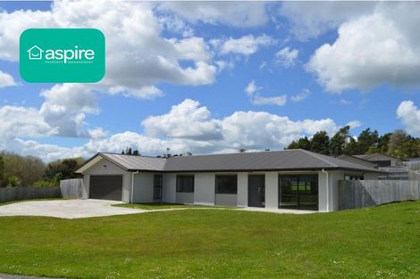 Photo of property in 45 Hartis Avenue, Huntly, 3700