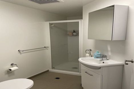 Photo of property in Quantum On Thorndon Quay, 4/163a Thorndon Quay, Pipitea, Wellington, 6011