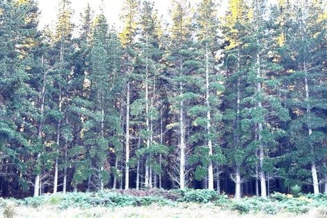 Photo of property in 109 Mclaren Gully Road, Allanton, Mosgiel, 9092