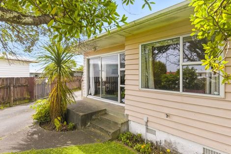 Photo of property in 15 Ross Street, Levin, 5510