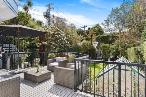 Photo of property in 45 Littlebourne Road, Roslyn, Dunedin, 9010