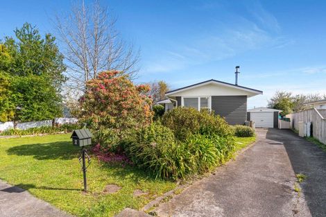 Photo of property in 32 Daniell Street, Solway, Masterton, 5810