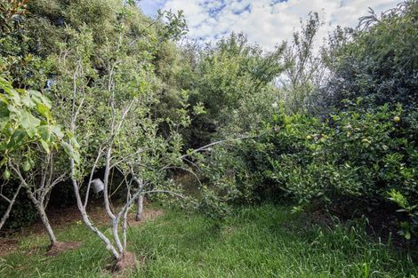 Photo of property in 38 Our Road, Whangarei Heads, 0174